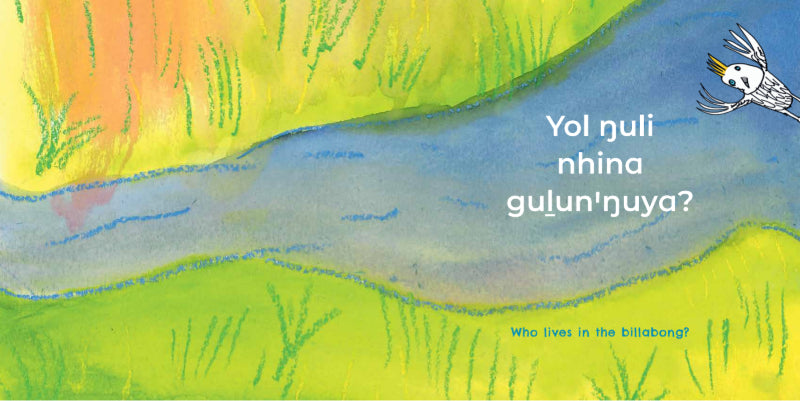 Gulun'(Billabong)
