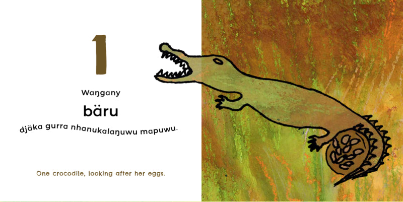 Gulun'(Billabong)